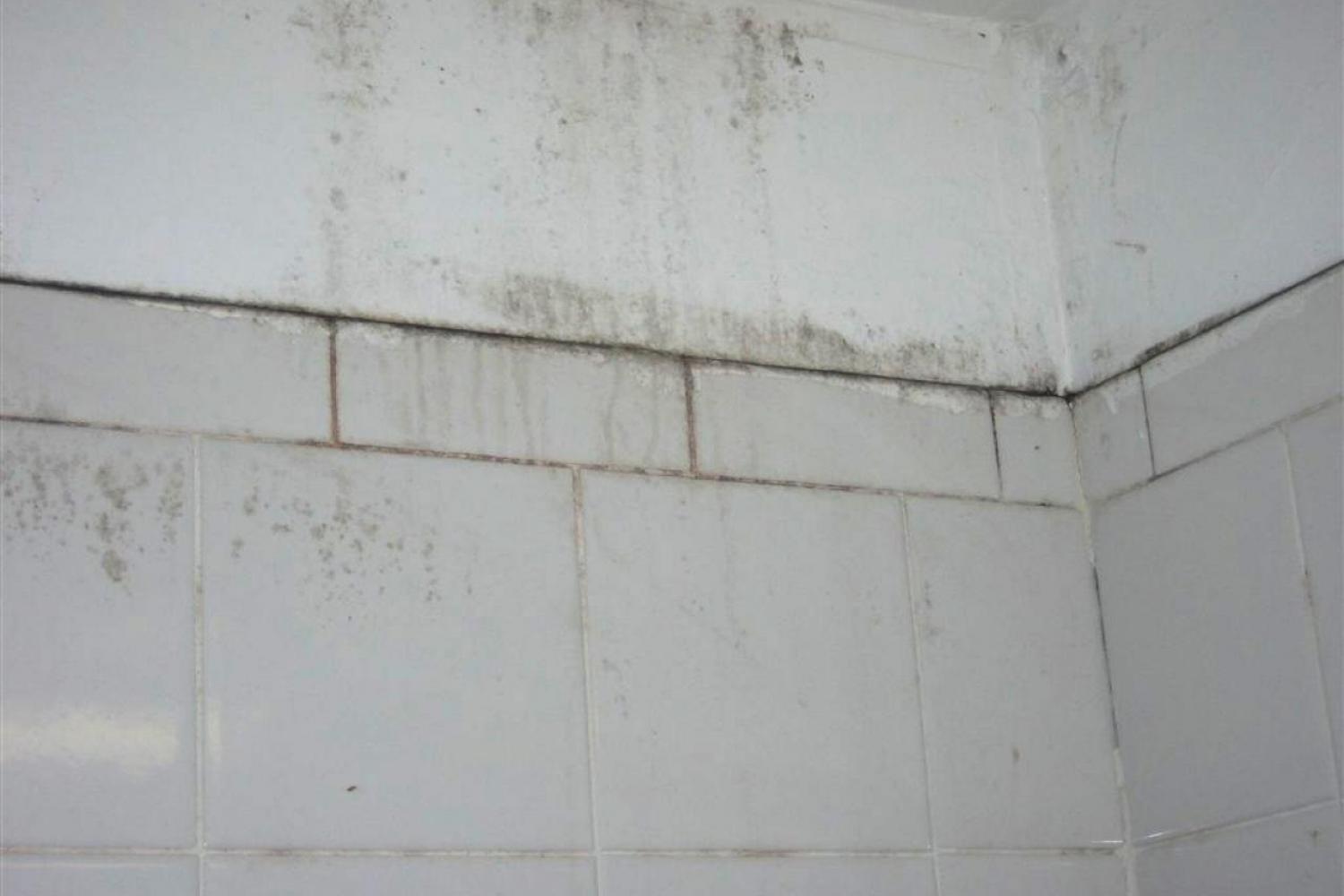 Black mould bathroom